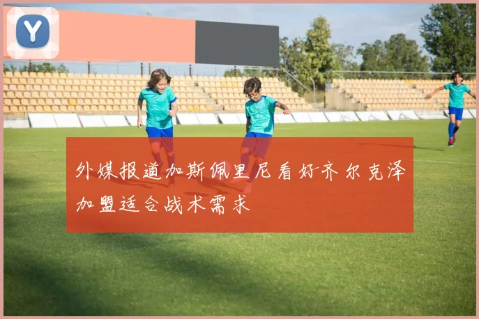 外媒报道加斯佩里尼看好齐尔克泽加盟适合战术需求