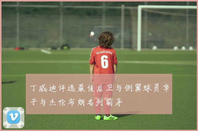 丁威迪评选最佳后卫与侧翼球员华子与杰伦布朗名列前茅