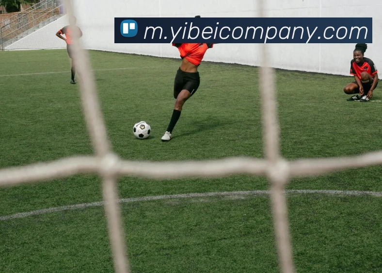 易倍体育平台生态图